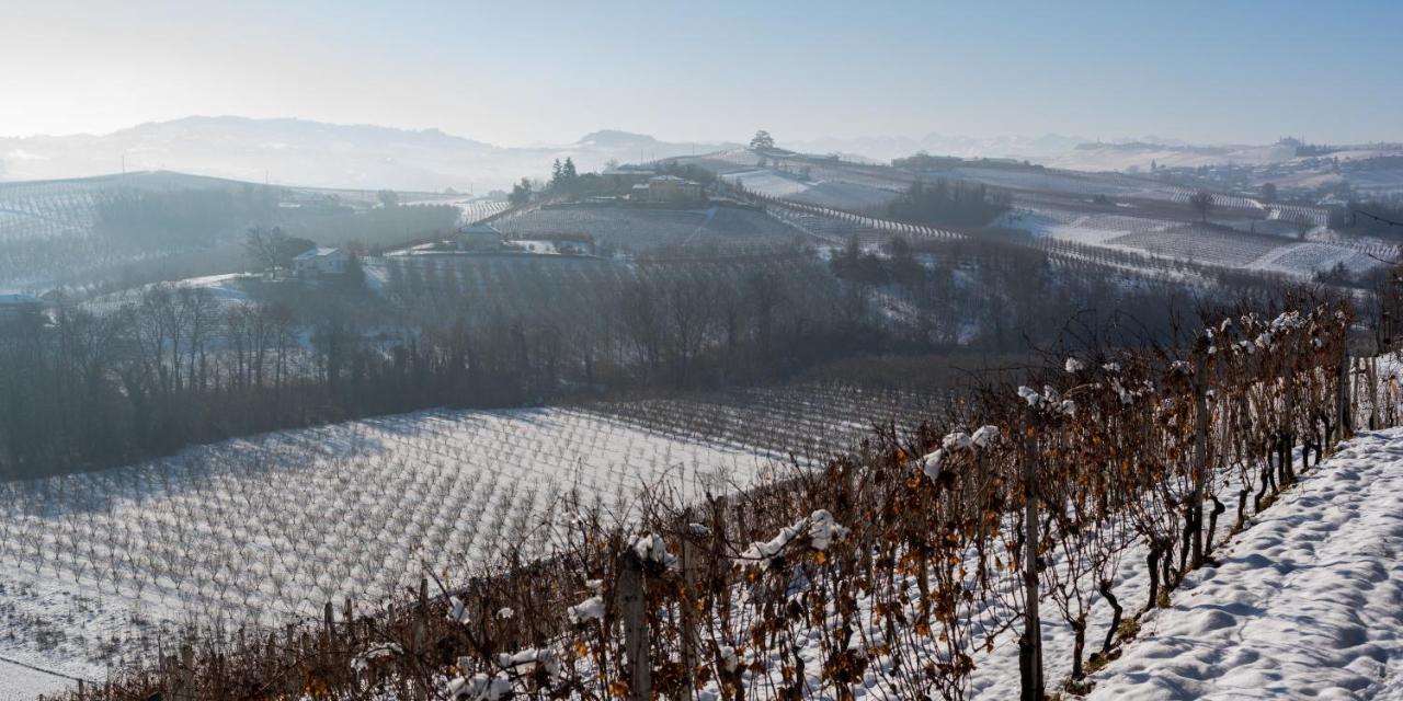 Appartamenti la Picchiera - Jole La Morra Esterno foto